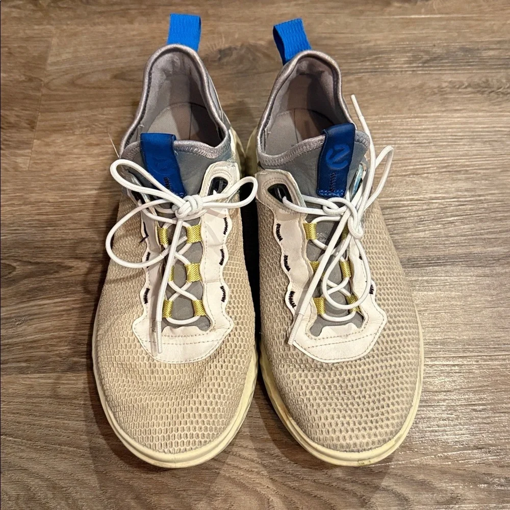 Ecco here pair
